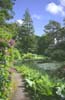 Arduaine Gardens (NTS), Loch Melfort (LORN 0133)