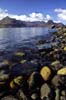 Cuillins & Loch Scavaig, from Elgol (SKYE 0457)